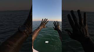 Never Do This 🦑 (@youfishtv) #shorts