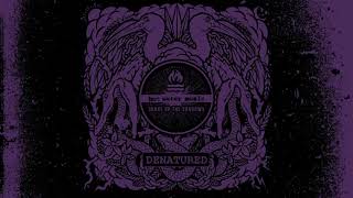Hot Water Music - &quot;Denatured&quot; (Full Album Stream)