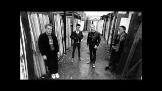 The Mr. T Experience / Foggy Mountain Top