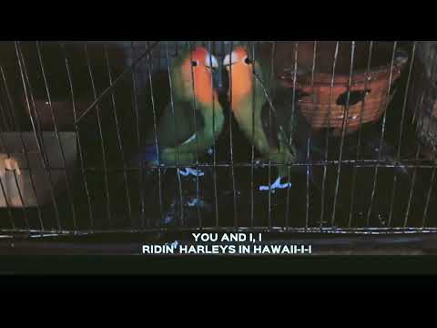 Wait and Watch 😌😌😌😌#fahmida #subscribe #like