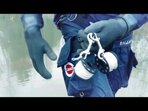 Shark Avatar i Kvinnersta