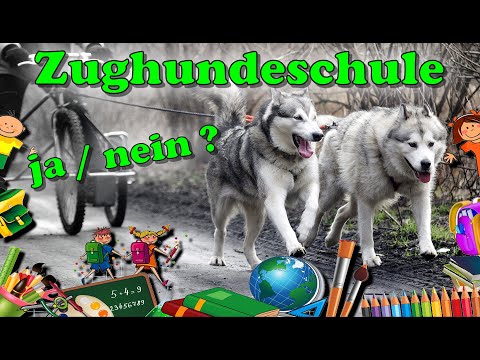 Zughundekurs - Wie sinnvoll ist er wirklich ? / Zughundesport / Nature Trails