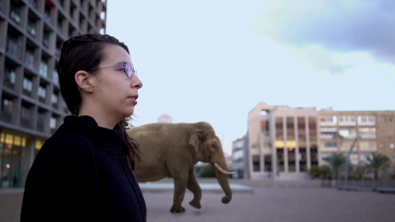 THERE ARE NO LIONS IN TEL AVIV (Trailer)