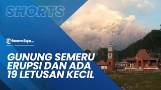 Gunung Semeru Alami Erupsi Dini Hari dan Ada 19 Letusan Kecil yang Terdeteksi Seismograf