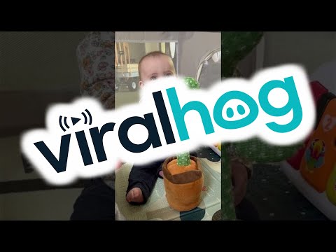6-Month-Old and the Mimicking Cactus || ViralHog