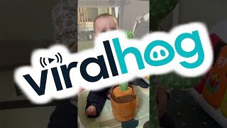 6-Month-Old and the Mimicking Cactus || ViralHog