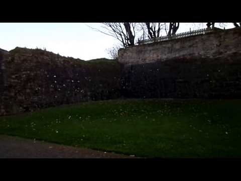 Cromwell's Fort  and the Barony of Montgomerieston at Ayr