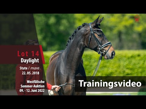 Sommer-Auktion Training Lot 14 Daylight Stute v. Danzador - Mailaender
