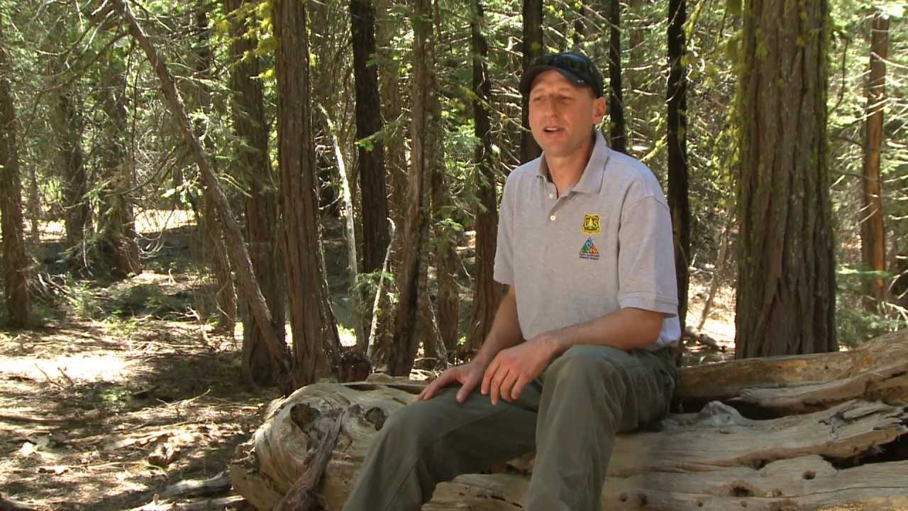 Science Perspectives - Fire Research At The Pacific Southwest Research Station