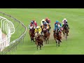 2021114 Hollywoodbets Greyville Express Clip Race 7 Won By KINGS ROAD