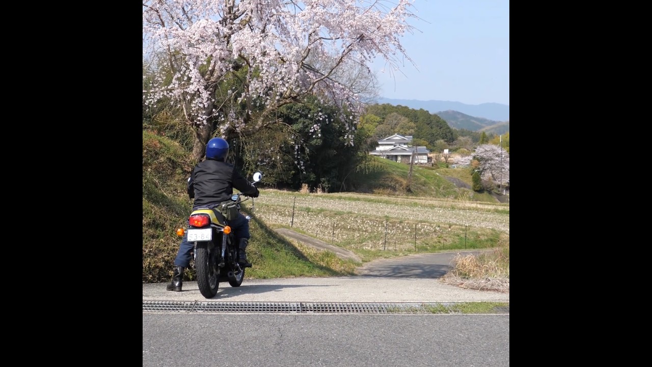 旧車ライダー桜前線を追いかける。