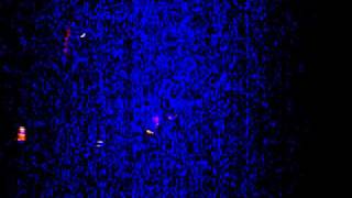 Patty Griffin (Tony)