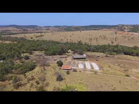 VENDA FAZENDA DE ALTO NÍVEL EM ALEXÂNIA / GO