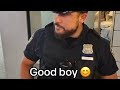 5 Minutes Of Domthetroll Funniest TikTok Trolling