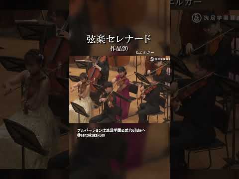 弦楽セレナード 作品20