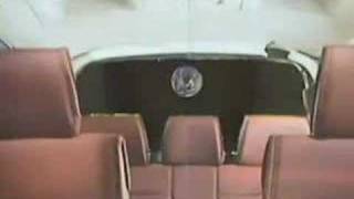 Global Village Idiot