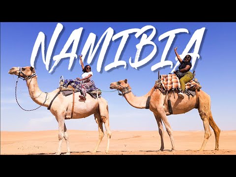 EPIC Camel riding in the Namib Desert, Things to do in Swakopmund Namibia travel Vlog