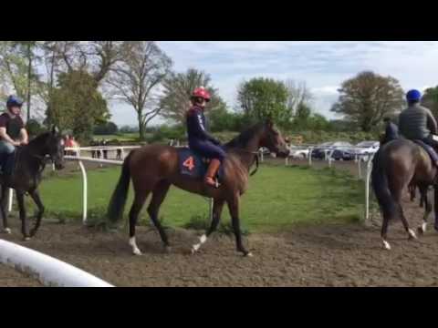 Lot Two - Parade at Richard Fahey's 23/4/17