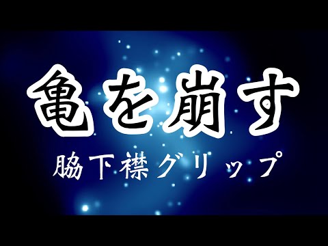 【しんすけ先生】亀を崩す 脇下襟グリップ