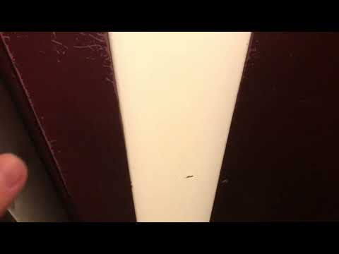 Magnifique ascenseur Gendre mod. par Otis à traction @ Genève, Suisse