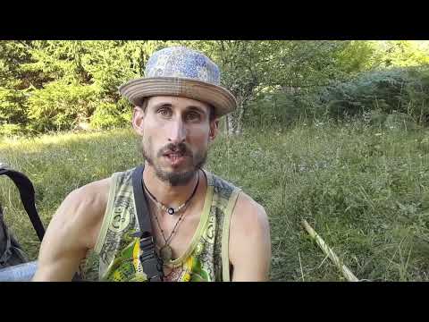 What hitchhiking has taught me about gratitude: two lessons