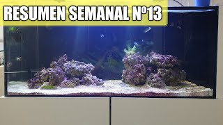 ✅ RESUMEN SEMANAL Nº13 [FUTURAS INCORPORACIONES]7
