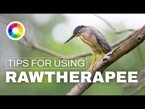 Beginner Tips for Using Rawtherapee