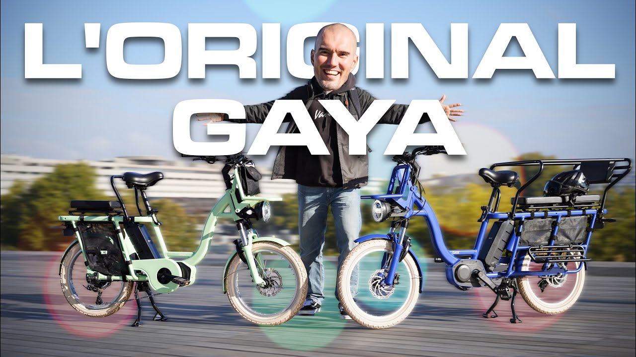 E-Bike Cargo Longtail