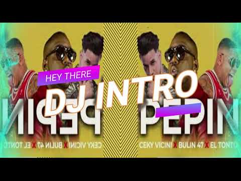 Ceky Viciny x Bulin 47 x El Tonto   Pepin mi amor DJ Intro Edit