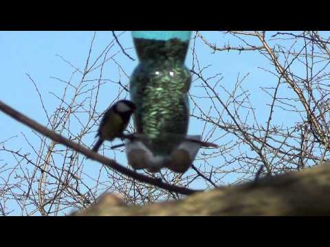 Cyklomost Devínska Nová Ves - Schlosshof