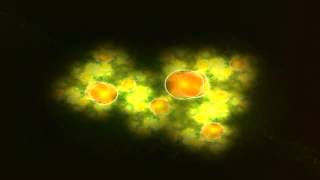 DeFranco Family - Heartbeat - It's a Lovebeat