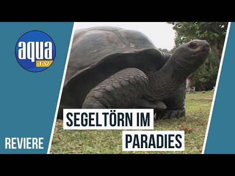 Seychelles - Sailing trip in paradise