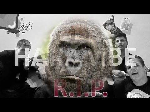RIP Harambe cover by team Husky