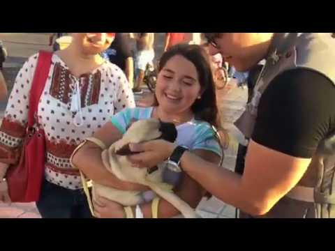 ASI SE VIVIO EL #DIADELNIÑO ESTE FIN DE SEMANA EN #LAPAZ 