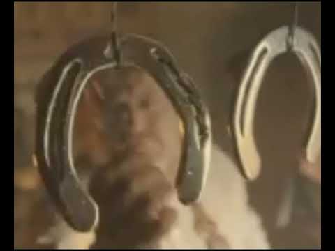 Promo Destine Celebre Cristian Pomohaci Duminica 13 aprilie 2014 ora 13.00