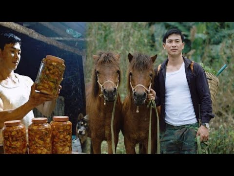 CEO Trieu Dan is happy and content with his pets and the peaceful living space he created.