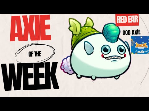 Axie Classic Budget Team vs Meta Teams 2025 