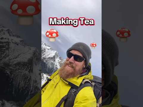 Making MUSHROOM TEA 🍄🍄🍄