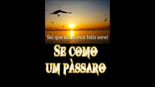 #avulsoccb #marquinhos Indaiatuba #Se como um pàssaro