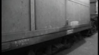 Claudio Baglioni . Cincinnato