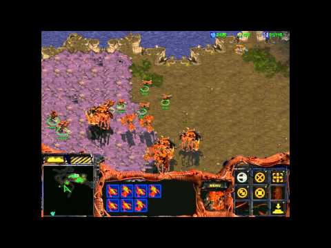 Starcraft 1: Insurrection - Zerg 01 - Syndrea's Demise