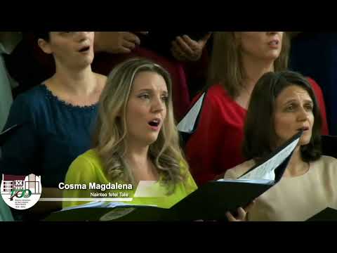 Mesagerii Sperantei - Naintea fetei Tale