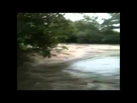 Rossett - Alyn Tonight