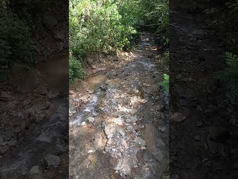 RIO TOY - ORTEGA TOLIMA