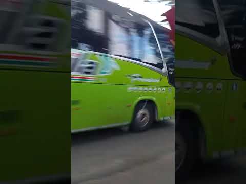 Cootranshuila Línea Premium 30500 en la Vía Guadalupe Suaza