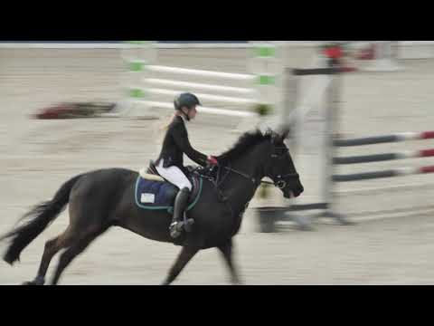 LINNEA UND MIDNIGHT - A-Springen mit steigenden Anforderungen