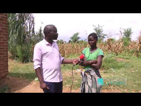 DANGA LANGA ON CHIMANGA  - 17 APRIL 2019