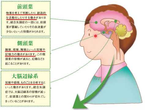 教育福祉学科 05 統合失調症１（病因、症状、経過、治療）
