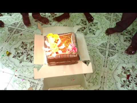 Saravanan birthday