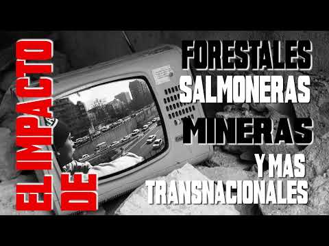 Mi Paí$ 2 - Shesho (Video Oficial)